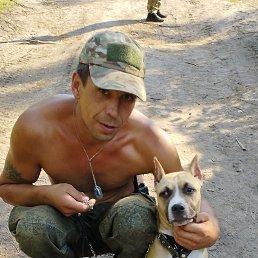, 37, 