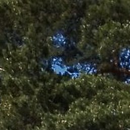 ����, �����������, 43 ����