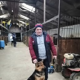 ���� ��������, ������, 62 ���� - ��������� 13 ������� 2026