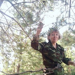 ����, ����-���