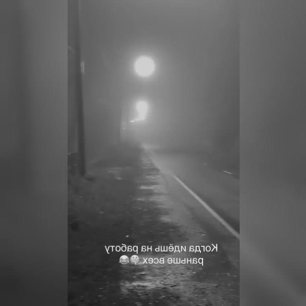 ������ ���� ���� ���� ���������� � ���������)) - 2