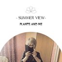  , -, 66  -  11  2025    