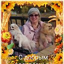 ���� ��������, ������ - ��������� 27 ������� 2024 � ������ ������ ��������