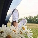 ���� �������, ������� - ��������� 7 ���� 2026