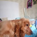 ���� �������������7�����, ������, 38 ��� - ��������� 17 ������� 2023