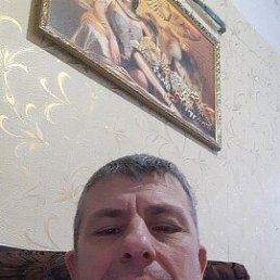 , 51 , 