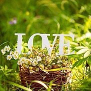 ������, 41 ���, ������