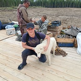 ���������, ������, 37 ���