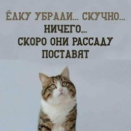 �����, ���������, 48 ���