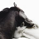  , , 53  -  16  2025   , , !!