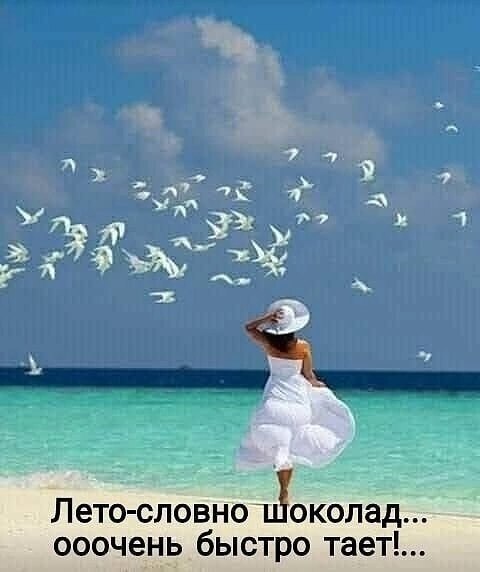   - 12  2025  16:50