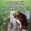 ���� ����, �����, 55 ��� - ��������� 27 ��� 2024 � ������ ������ ��������