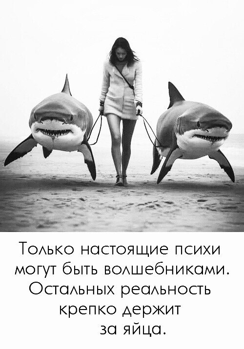 ***Victoria Viktorovna*** - 14  2025  06:10