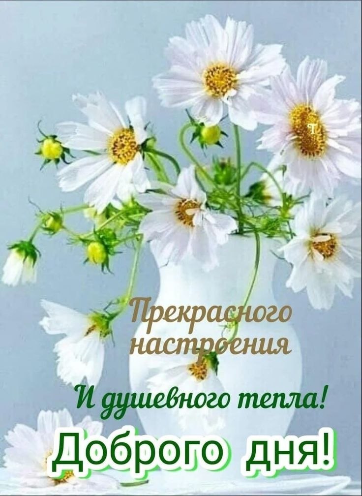   - 13  2025  14:40