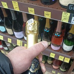 �������, ������, 37 ���