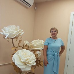 ���� �������, ������ - ��������� 28 ���� 2026