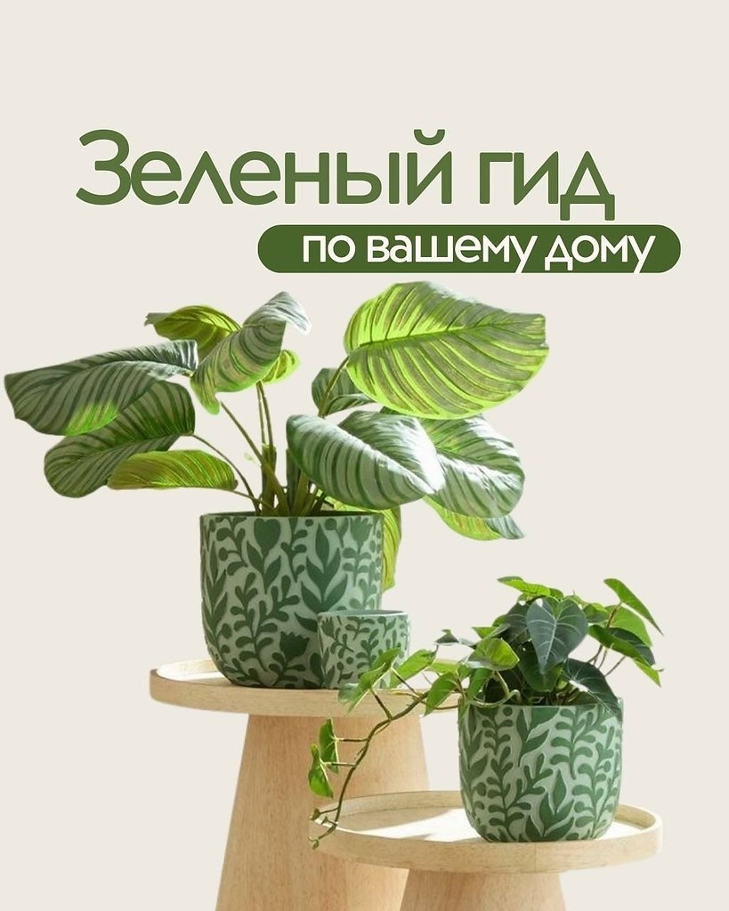 � ������� �������� � ��� ��������� �����! �������: ��� ���, ��� ����� ������ � �����. �����: ��� ...