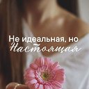 ���� ������� !, ������ - ��������� 23 ������ 2026 � ������ ������ ��������