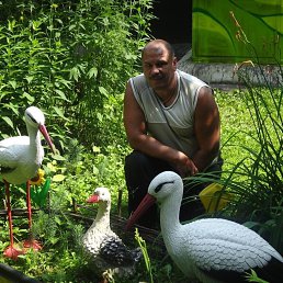 ���� Aleksandr, ������, 57 ��� - ��������� 27 ������� 2023