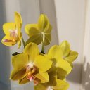 ���� �������, ������ - ��������� 14 ������� 2025 � ������ ���� �������