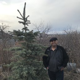 �����, ������, 49 ���