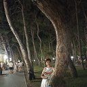 ���� �����, ������, 54 ���� - ��������� 10 ������� 2024 � ������ ���� ����������