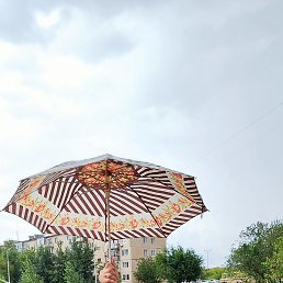 �������, ������, 67 ���