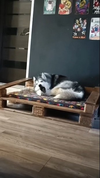 ���������, ������� ���������� ������ ������� - 2