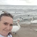 ���� �������, ����, 42 ���� - ��������� 23 ������� 2025