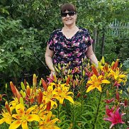, 65 , 