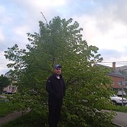 �������, 41 ���, �����