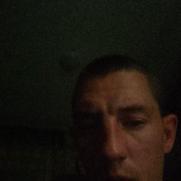 , 29, 