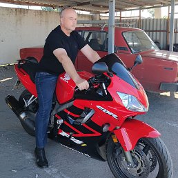 ���������, ���������, 52 ����