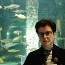 ���� ������, ������, 65 ��� - ��������� 16 ������� 2026 � ������ ���� ����������