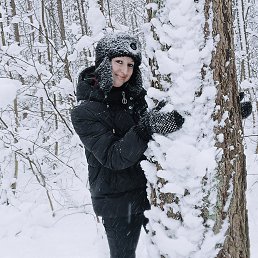 �����, 41 ���, ����