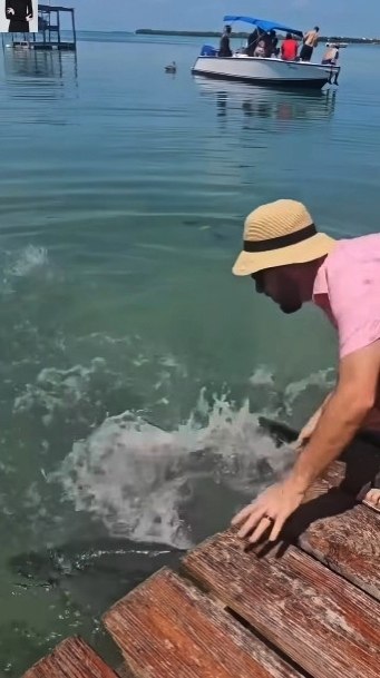 Я бы клюнул нa тaкую бeз нaживки - 2