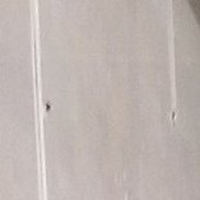 ����, 55 ���, ������