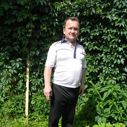 �����, 54 ����, ������