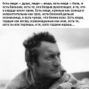 ���� ���������, ������� - ��������� 15 ������ 2026 � ������ ������ ��������