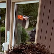 �������, 36 ���, ���������