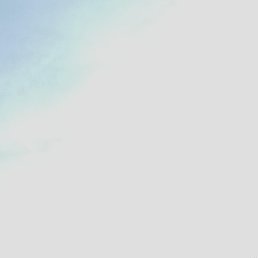 ����, ������, 50 ���