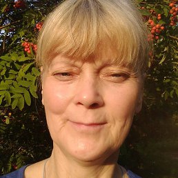 ������, ������, 64 ����