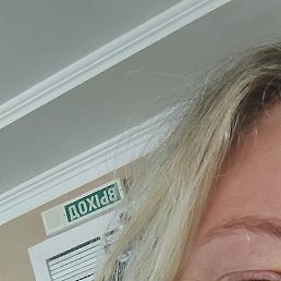 ������, �����������, 55 ���