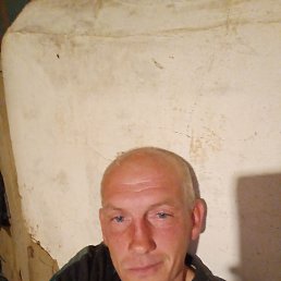 , 37, 