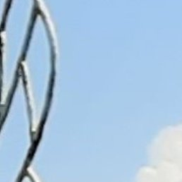 �������, ������, 49 ���