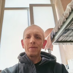 �����, 38 ���, ���������