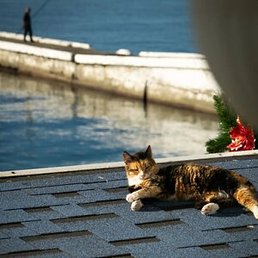 ������, ���������, 38 ���