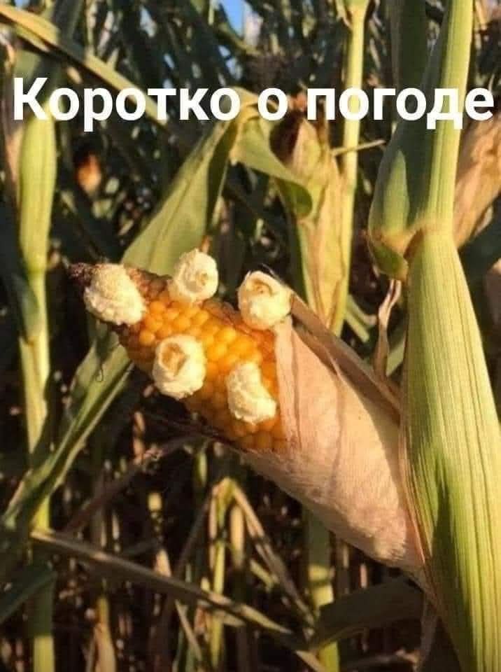 :)