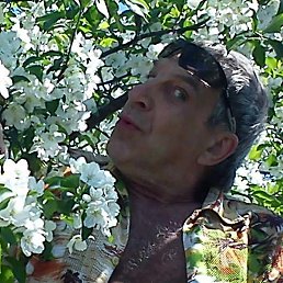 Slava, �������������