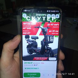 ������, ��������, 36 ���